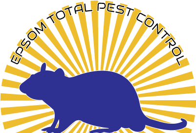 epsom-surrey-pest-control-services